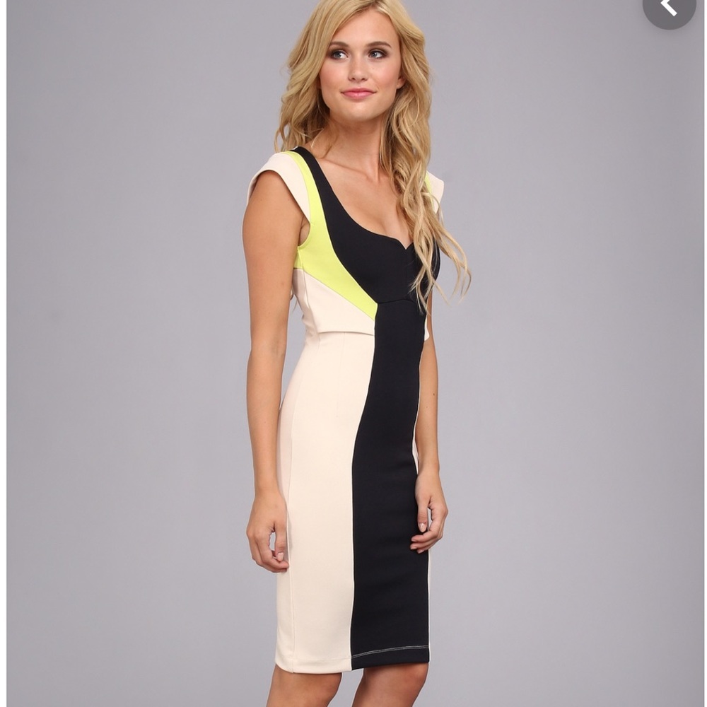 French Connection Monroe Stretch Dress